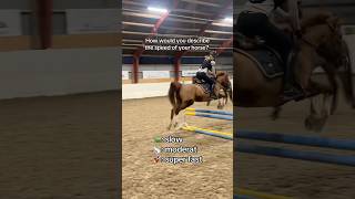 Comment 🐢 🐇 or 🚀 equestrian horse horses pony pferde cheval hest trending funny fun [upl. by Fulks]