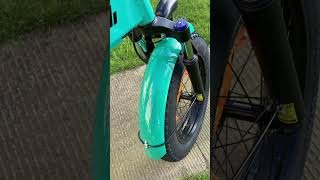 PVY Z20 plus 1000 electric bike ebike photos 250w electric bike [upl. by Magdala]