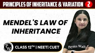 Principles of Inheritance amp Variation 02  Mendels Law of Inheritance  12th  NEETCUET [upl. by Solrak]