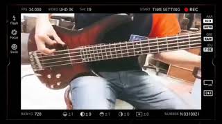 Kjarkas  Fria bass cover [upl. by Pandich849]