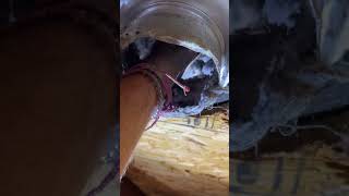 CLEAN YOUR DRYER VENT almetaldryervent satisfying diy shorts [upl. by Irfan]