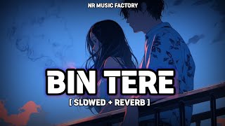 Bin Tere  Slowed  Reverb   Rakulpreet Singh ❤️ Jackky Bhagnani  NR Music Factory [upl. by Alber]