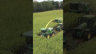 This team is strongreaper silagemachine modern agriculture shorts viralvideo youtubeshorts [upl. by Ori]