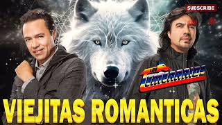 LOS TEMERARIOS VIEJITAS ROMANTICAS ÉXITOS  LOS TEMERARIOS ROMÁNTICAS DEL AYER  ÉXITOS INOLVIDABLES [upl. by Ttirrem]