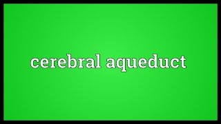 Cerebral aqueduct Meaning [upl. by Pega]