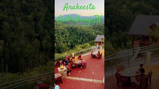 Anakeesta Gatlinburg TN [upl. by Opiuuk542]