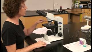 Microscope Tutorial  Detailed Version [upl. by Ridglee]