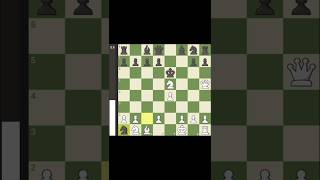 Blackburne shilling gambit trap  Chess Tips and Tricks  chess shorts trap openingtraps [upl. by Lind201]