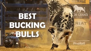 Best Bucking Bulls Ever [upl. by Natka]