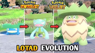 How To Evolve Lotad Into Lombre amp Ludicolo In Pokemon Scarlet amp Violet  The Teal Mask DLC [upl. by Nevai391]