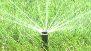 Sprinkler tips to save water [upl. by Eenwat876]