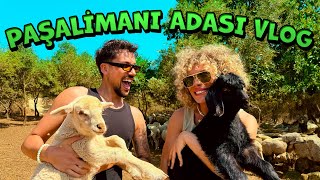 PAŞALİMANI ADASI VLOG [upl. by Wende]