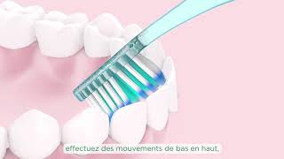 Comment se brosser les dents [upl. by Eadwine]