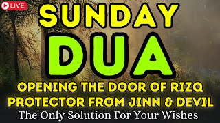 POWERFUL SUNDAY DUA  Blessings Will Rain On Home  THIS BEAUTIFUL DUA THE KEY TO SOLVE ALL PROBLEMS [upl. by Smallman]