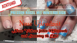 Press On Nails im Winterdesign  NailsbyLadyDesigner [upl. by Namolos547]