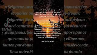 40 rabbana 6 ème invocation quran invocation [upl. by Blanchette]