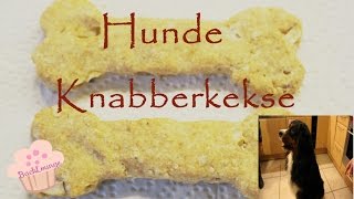 DIY Hunde  Kekse  Dog Cookie schnell  einfach  selber machen  BackLounge 2016  Rezept [upl. by Yekciv837]