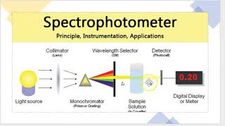 spectrophotometer working principle [upl. by Enyaw]