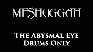 Meshuggah The Abysmal Eye DRUMS ONLY [upl. by Hourihan]