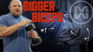 5 Bicep Exercises for Bros How to Build Biceps Safely [upl. by Warwick]