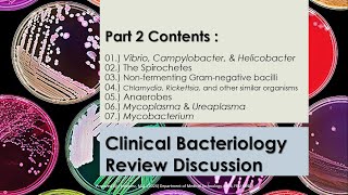 Summarized Review Discussion 02  Microbiology 1  CLINICAL BACTERIOLOGY pt2 [upl. by Tamqrah]