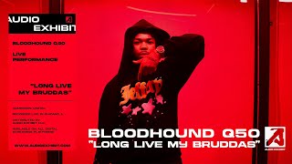 BloodHound Q50  Long Live My Bruddas Live Performance  Audio Exhibit [upl. by Ballman993]