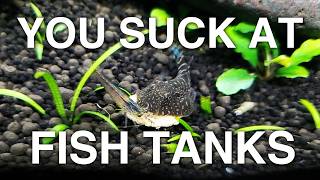 How to make the BEST Fish Tank  YSAFT [upl. by Gnues]