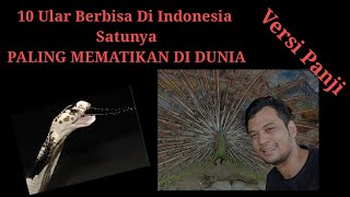 10 ULAR BERBISA DI INDONESIA NO 1 PALING BERBISA DI DUNIA [upl. by Ahsineb]