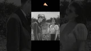 Highway Hell 1941 PizzaFLIX🍕TEASER2 [upl. by Gnap787]