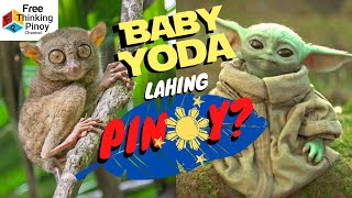 MALIIT NA UNGGOY  The Life of Philippine Tarsier [upl. by Davina]