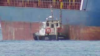 Pilot disembarks cargo ship Mornington 3 June 2023 [upl. by Chlori]