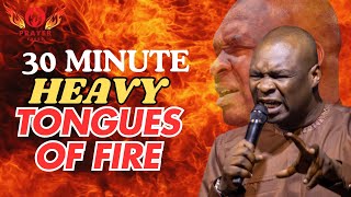 30 MINUTE HEAVY TONGUES OF FIRE  APOSTLE JOSHUA SELMAN [upl. by Yellah]