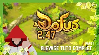 Dofus 247 élevage le tutoriel complet Partie 6  Nomer et Rechercher mieux ses montures [upl. by Idalla710]