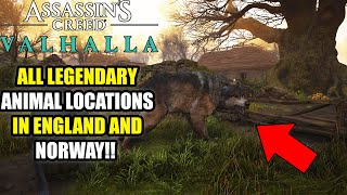 HOW TO FIND ALL LEGENDAY ANIMALS IN ENGLAND AND NORWAY IN ASSASINS CREED VALHALLA [upl. by Vaios]