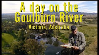 Flyfishing for Trout on the Goulburn River Victoria Australia [upl. by Culley225]