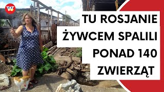 W tym gospodarstwie Rosjanie żywcem spalili ponad 140 zwierząt [upl. by Nosredna903]