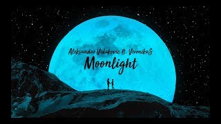 Aleksandar Vidakovic ft VeronikaS  Moonlight [upl. by Ahsimot252]