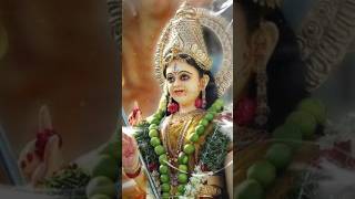 Nimiya tarwa na khesari Lal navratri video shorts ytshorts viralshort [upl. by Jedd]