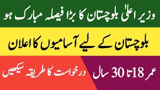 Balochistan Latest Jobs Today  Balochistan new jobs 2024  Pak Job Career 10 [upl. by Huntington]