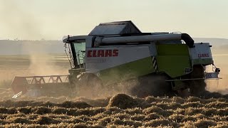 GETREIDEERNTE 2024 CLAAS LEXION 440 BEIM GERSTE DRESCHEN [upl. by Atrebor]