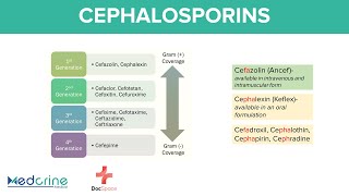 Cephalosporins Pharmacology 1st to 5th Generations Mnemonics Indications and Adverse effects [upl. by Kado518]