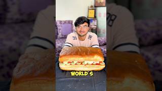 I Made The Biggest Sandwich [upl. by Veradia]