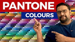 Learn What is Pantone Colour Graphic Design [upl. by Jephum]