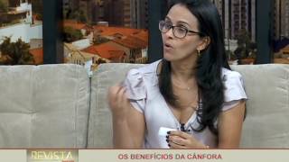 Os Benefícios da Cânfora [upl. by Gerger177]