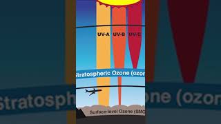 Stratospheric ozone amp Tropospheric ozone upsc faizulsir uppsc bpsc ozone rpsc news shorts [upl. by Twelve843]