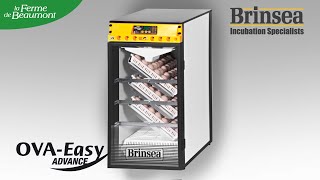 Couveuse Brinsea Ovaeasy 190  La couveuse grande capacité pour faire naître vos poussins [upl. by Edorej574]