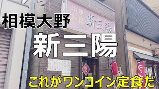 【相模大野】『新三陽』デカ盛りよりお得（だと思う） ※閉店しました [upl. by Inoue924]