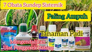 7 Obat Sundep Sistemik Paling AmpuhUntuk Tanaman Padi insektisidaampuh [upl. by Cordelie]