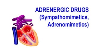 ADRENERGIC DRUGS MCQS PHARMACOLOGY [upl. by Neerehs]