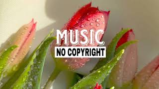 Hamili  Syrup Vlog No Copyright Music background musicfree musicno copyright music [upl. by Buff]